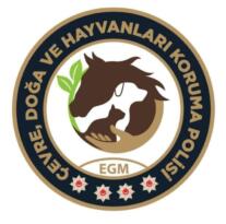 İki Hayvana Çarpıp Kaçan Sürücüler Yakalandı