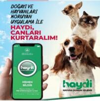Hayvanları Koruma Kanunu Kapsamında Uygulanan İdari Para Ceza Miktarları
