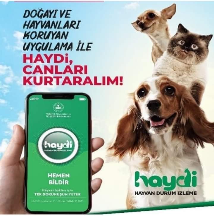 Hayvanları Koruma Kanunu Kapsamında Uygulanan İdari Para Ceza Miktarları