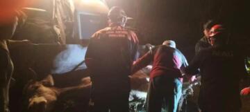 Yüksekten Düsen İnek AFAD Tarafından Kurtarıldı