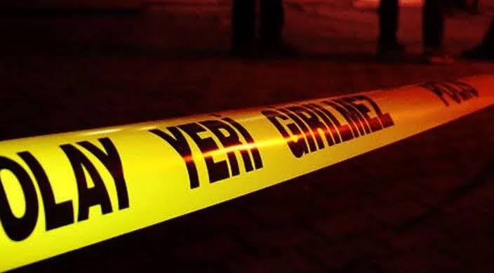 Eflani’de Üzerine Ağac Düşen Genç Yaşamını Yitirdi