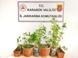 Jandarmadan Kenevir Operasyonu