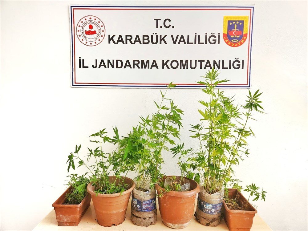 Jandarmadan Kenevir Operasyonu
