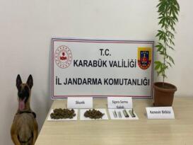Jandarmadan Uyuşturucu ve Kenevir Operasyonu
