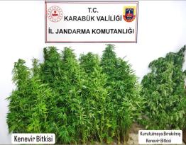 Jandarma’dan Uyuşturucu Operasyonu