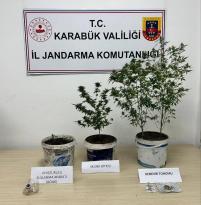 Jandarmanın Uyuşturucuyla Mücadelesi Devam Ediyor