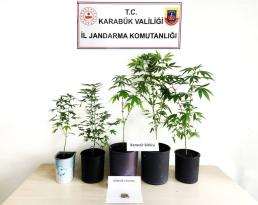 Jandarma’dan Uyuşturucuya Geçit Yok