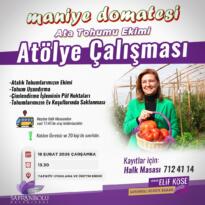 Safranbolu’da Maniye Domatesi Ata Tohumu Ekimi Atölyesi Düzenlenecek