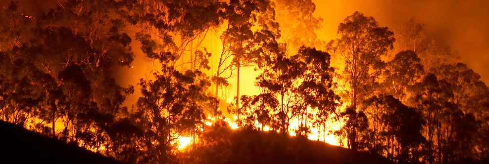 Karabük’te Ormanlık Alanda Çıkan Yangın Söndürüldü