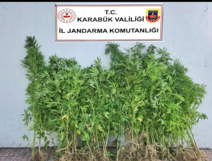 Jandarma’dan Uyuşturucu Operasyonu
