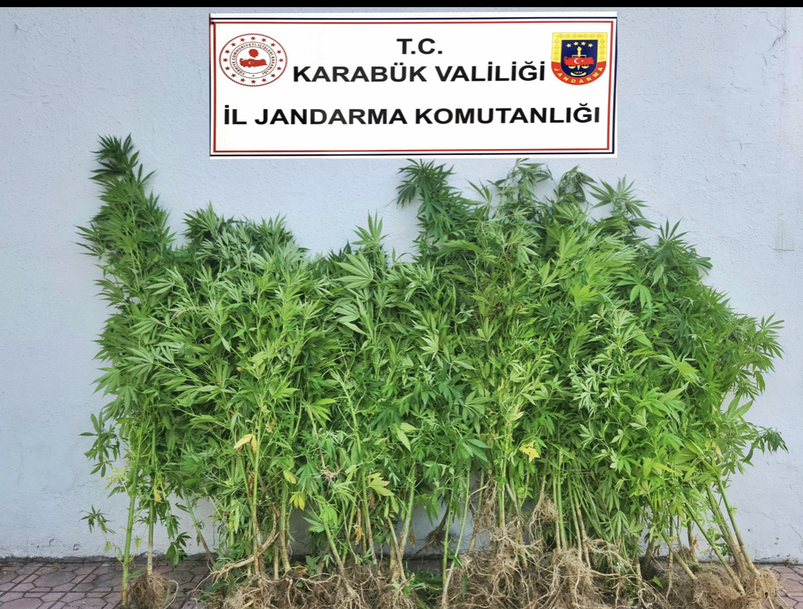 Jandarma’dan Uyuşturucu Operasyonu