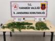 Karabük’te Jandarmadan Yasaklı Madde ve Kaçakçılık Operasyonu
